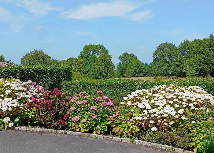 La Maringotte Hébergement de vacances